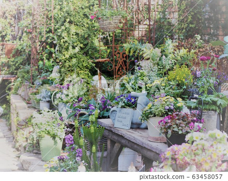 Flower shop Flower shop 63458057