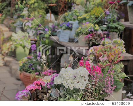 Flower shop Flower shop 63458069