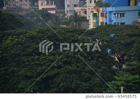 Cityscape of Chittagong, Bangladesh New condominium and building under construction Lush forest Cityscape of Chittagong, Bangladesh New condominium and building under construction Lush forest 63458575