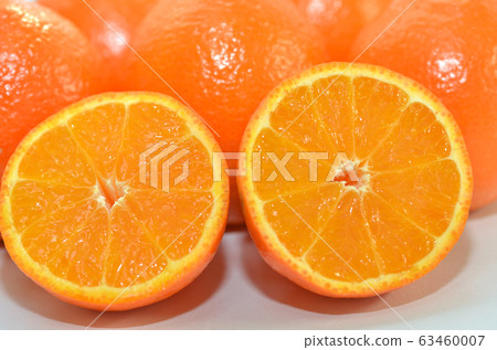 Hybrids of tangerine, Mineola, tangerine and grapefruit 63460007