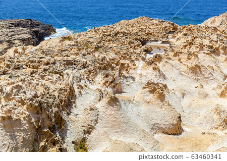 The stony coast of Gozo The stony coast of Gozo 63460341