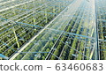 Green plantations shot through the transparent ceiling. Greenhouses aerial view, epic view on 63460683