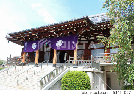 Dentsuin Myogadani 63461097