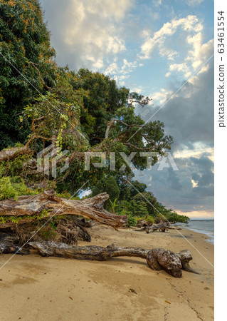 Beautiful paradise beach in Masoala, Madagascar 63461554