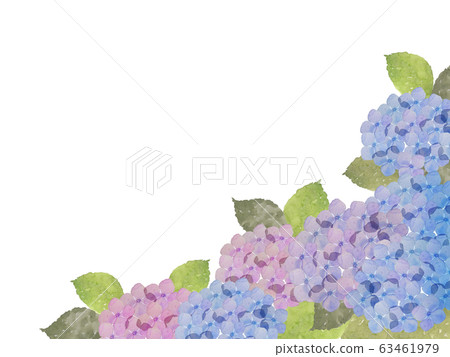Hydrangea watercolor painting 63461979