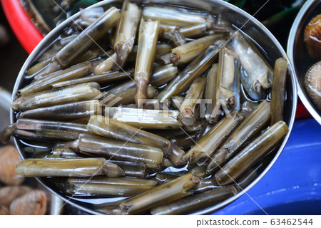 Razor clam Sell in fresh seafood market 63462544