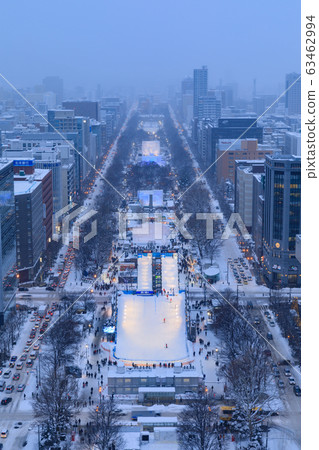 北海道_札幌冰雪節夜景 63462994