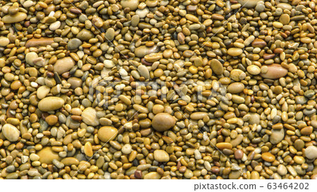 Baeknyeongdo Mongdol Beach Pebbles Baeknyeongdo Mongdol Beach Pebbles 63464202
