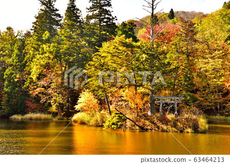 Floating island 63464213