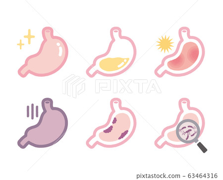 胃 有益健康的 健康 63464316