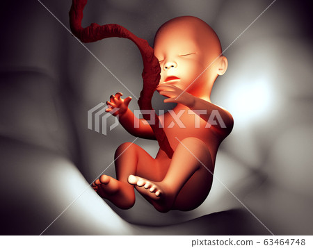 Human embryo inside body 3d illustration image 63464748