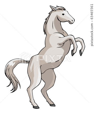 白馬 騰躍的馬 涼爽的午後的插圖 插圖素材 圖庫
