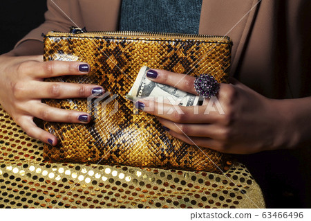 pretty fingers of african american woman holding money closeup with purse, luxury jewellery on python clutch, cash for gifts pretty fingers of african american woman holding money closeup with purse, luxury jewellery on python clutch, cash for gifts 63466496