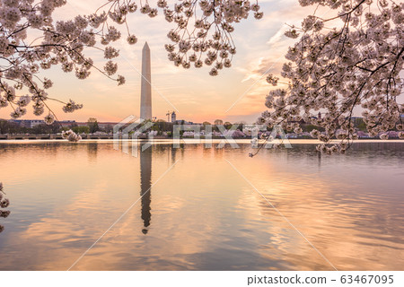 Washington DC, USA in Spring Washington DC, USA in Spring 63467095