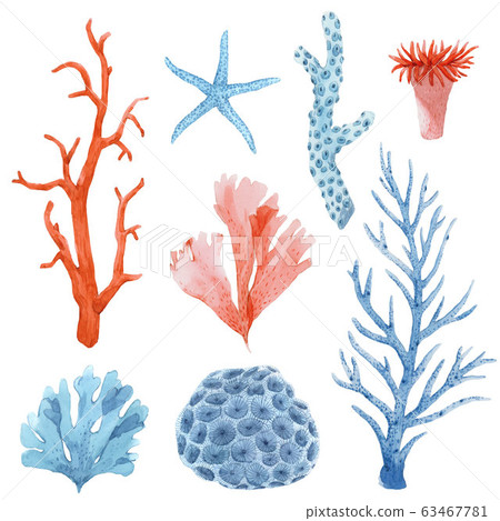 Beautiful set with underwater watercolor sea life stock illustrations. Beautiful set with underwater watercolor sea life stock illustrations. 63467781