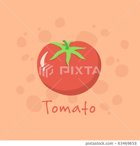 Tomato Vegetable vector illustration 63469658