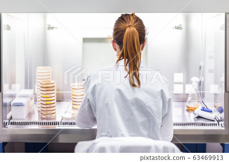 Female scientist working in corona virus vaccine development laboratory research facility. Female scientist working in corona virus vaccine development laboratory research facility. 63469913