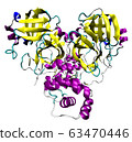 3D structure of coronavirus SARS-CoV-2 main 63470446