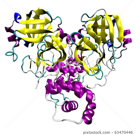 3D structure of coronavirus SARS-CoV-2 main 63470446