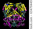3D structure of coronavirus SARS-CoV-2 main 63470449