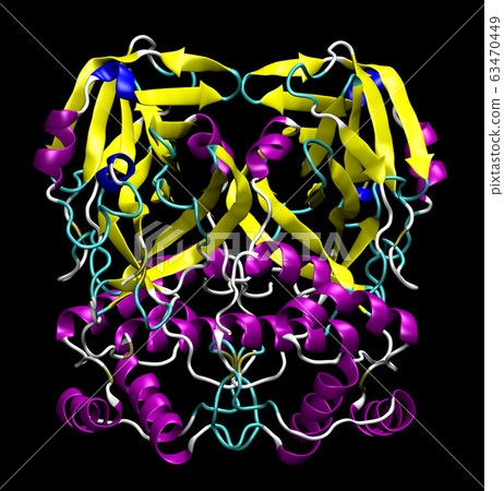 3D structure of coronavirus SARS-CoV-2 main 63470449