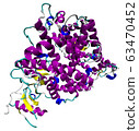 3D structure of the human ACE2 enzyme, the 63470452