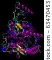 3D structure of the human ACE2 enzyme, the 63470453