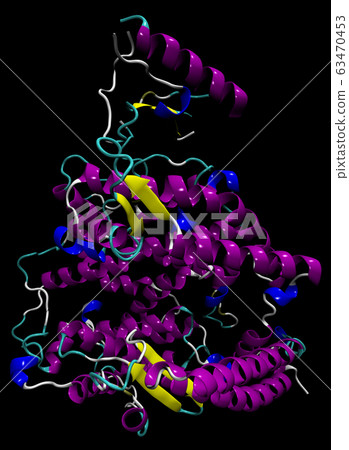 3D structure of the human ACE2 enzyme, the 63470453