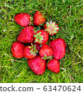 Ripe strawberries lying in green grass 63470624