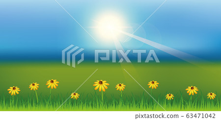 sunny spring background with daisy flower on green meadow sunny spring background with daisy flower on green meadow 63471042