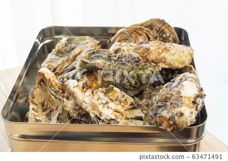 Oyster with shell 63471491