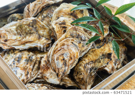 Oyster with shell 63471521