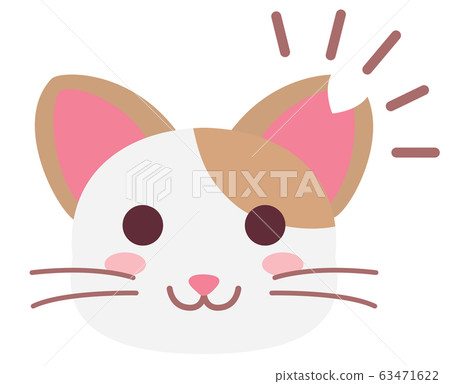 Local cat girl with cut ears 63471622