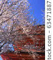cherry blossom, cherry tree, five-storied pagoda 63471887