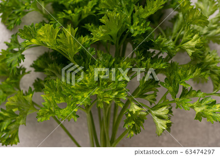 fennel bulbs, light stone, leaves, potato wedges, 63474297