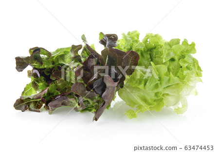 green and red oak lettuce isolated on white green and red oak lettuce isolated on white 63474453