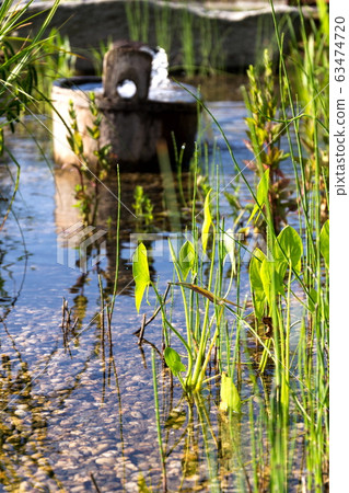 Wooden bucket with oxygenating flowing water at natural swimming pond or pool purifying water without chemicals through biological filters and plants 63474720