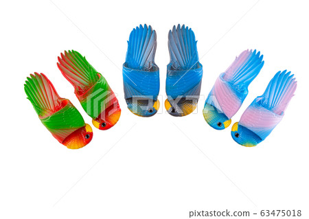 Multicolored burds for adults on white background 63475018
