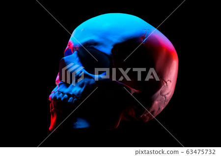 Side view of gypsum model of the human skull in neon lights isolated on black 63475732