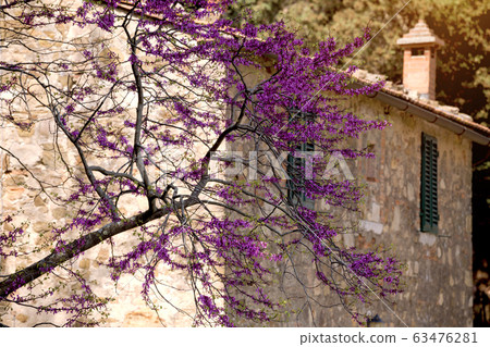 The facade of an old Italian house The facade of an old Italian house 63476281