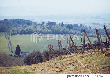 Vineyards of Tuscany 63476283