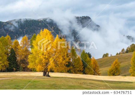 Dolomites meadows after rain Dolomites meadows after rain 63476751
