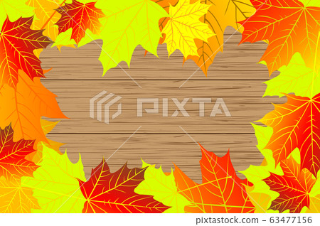 Autumnal leaf of maple 63477156