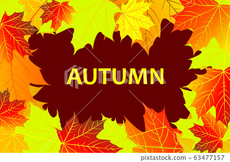 Autumnal leaf of maple 63477157