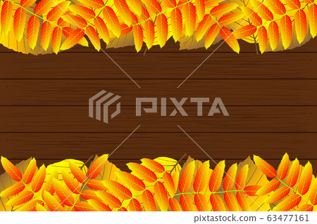 Autumnal leaf of beech and rowan 63477161