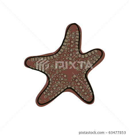 Brown starfish. 63477853