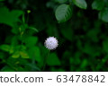 White flower_jade_tengu fan 63478842