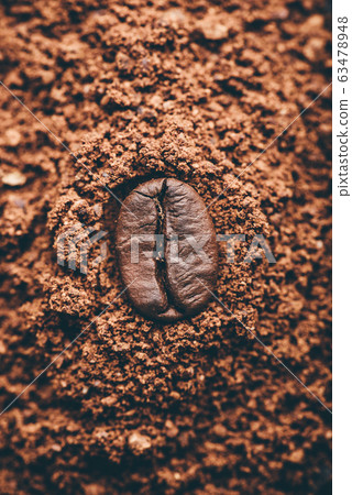 Coffee bean on heap of grinded coffee 63478948