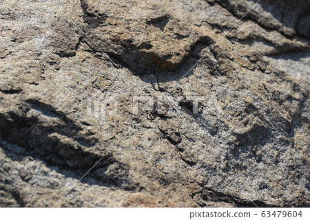 Rough rough skin Rough rough skin 63479604