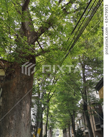 岸石神戶電荒川線 岸石神戶電荒川線 63479953